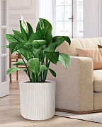 Напольное кашпо IDEALIST Lite Урбан, круглое, белое Д37 В36.5 см