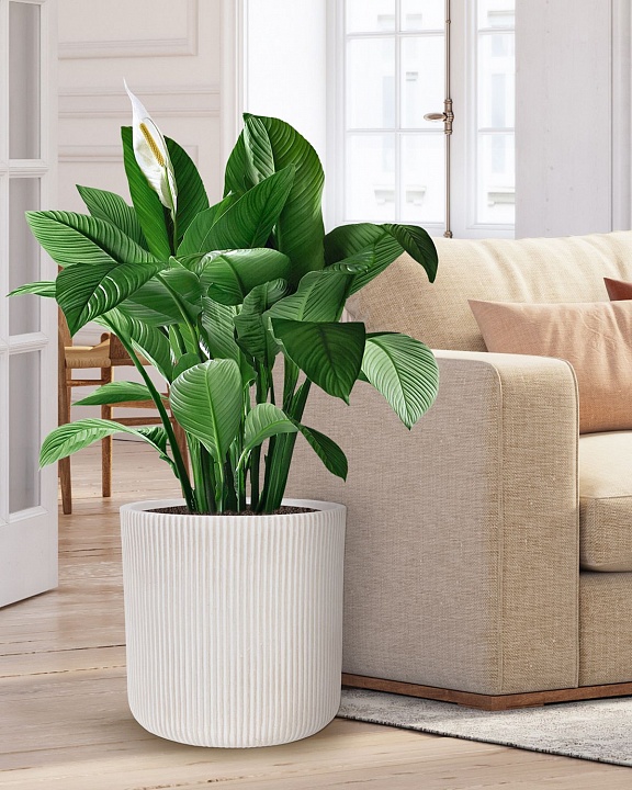 Напольное кашпо IDEALIST Lite Урбан, круглое, белое Д37 В36.5 см