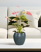 TER21-GRN Настольное кашпо для цветов IDEALIST Премиум Терра, круглое, Д21 В21 см, темно-зеленое, 6 литров