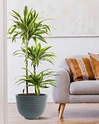 RIF36-GRN Напольное кашпо для цветов IDEALIST Премиум  Риф, чаша, Д36 В27 см, темно-зеленое, 13 литров