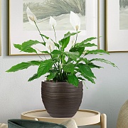 Настольное кашпо IDEALIST LITE Роу, круглое, коричневое, Д27 В25.5 см